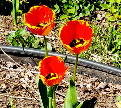 Zoo «NEW Zoo & Adventure Park», reviews and photos, 4378 Reforestation Rd, Green Bay, WI 54313, USA