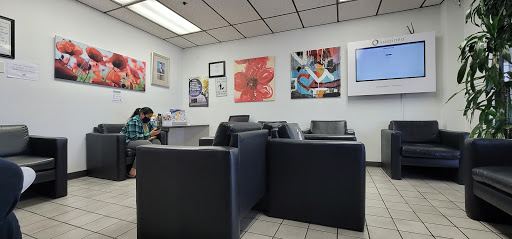 Frank Hyundai image