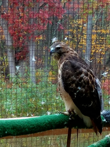 Museum «Harry C Barnes Memorial Nature Center», reviews and photos, 175 Shrub Rd, Bristol, CT 06010, USA