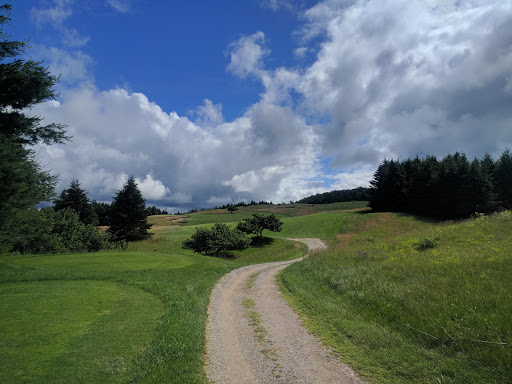 Golf Course «Champion Hill Golf Course», reviews and photos, 501 N Marshall Rd, Beulah, MI 49617, USA