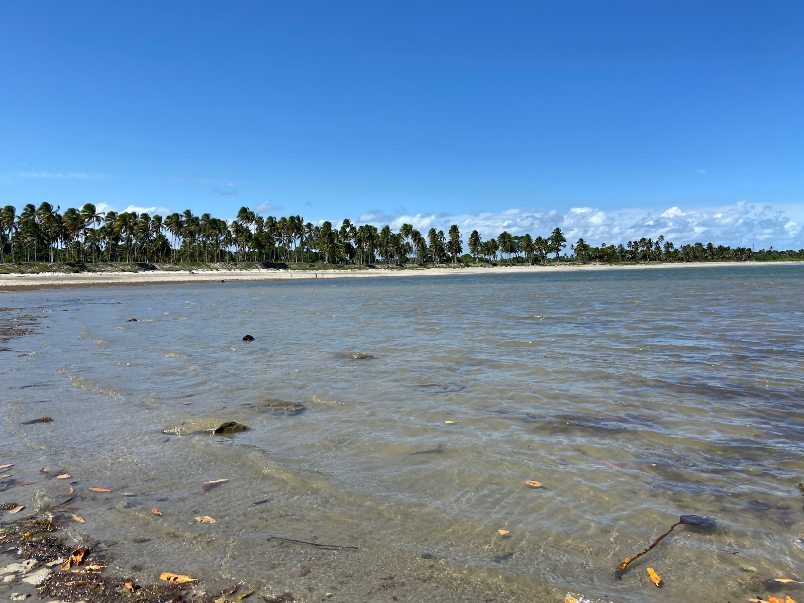 Foto di Praia da Barra de Santo Antonio zona selvaggia