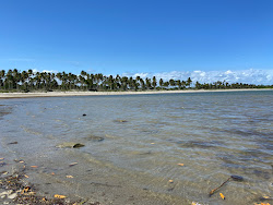 Foto di Praia da Barra de Santo Antonio zona selvaggia