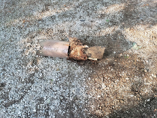 Plumber «Dunnrite Llc», reviews and photos, 2311 Hancock St, Port Huron, MI 48060, USA