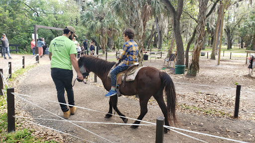 Horse riding in Tampa