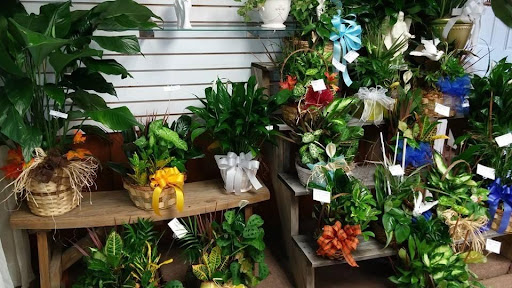 Florist «Forget Me Not Flowers & Gifts», reviews and photos, 423 Crain Hwy S, Glen Burnie, MD 21061, USA