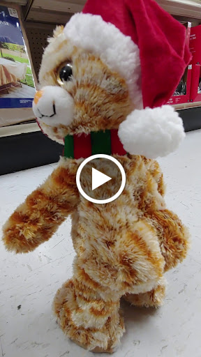 Discount Store «Big Lots», reviews and photos, 843 W Bloomingdale Ave, Brandon, FL 33511, USA