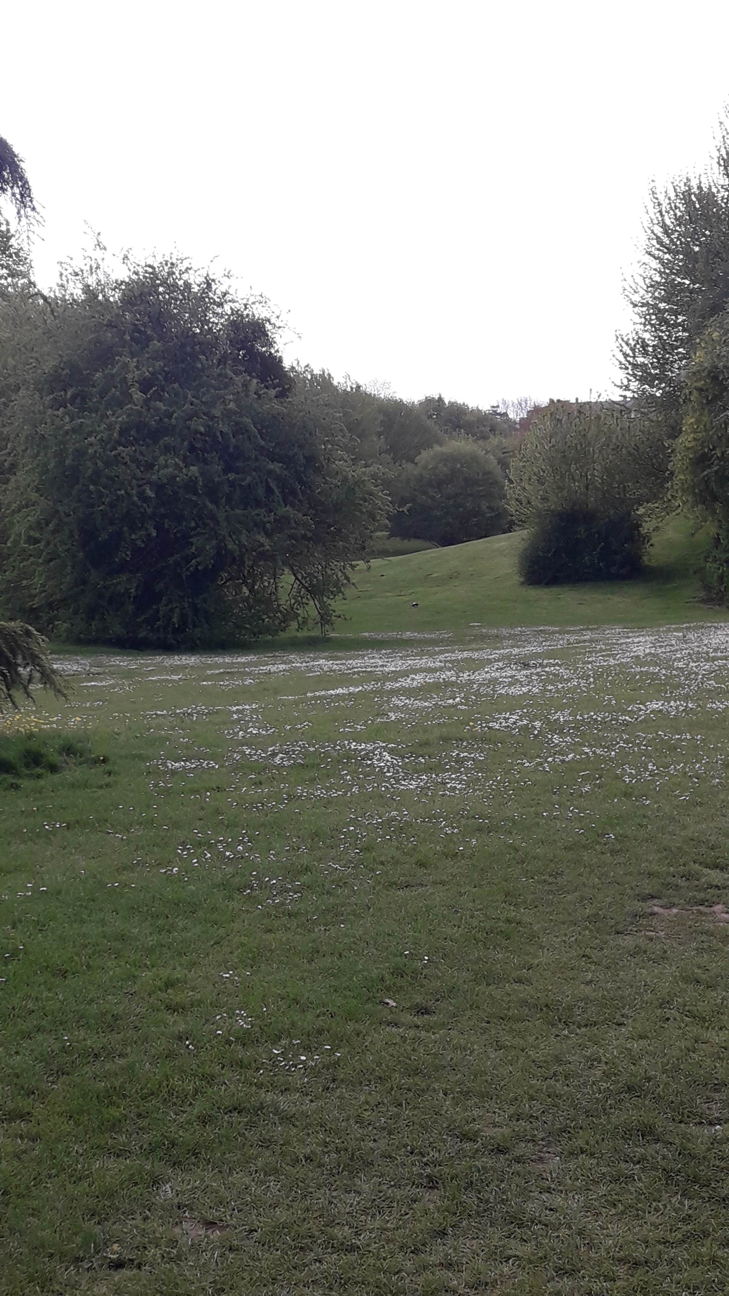 Photo n° 2 de l'avis de Françoise.a fait le 27/04/2019 à 11:58