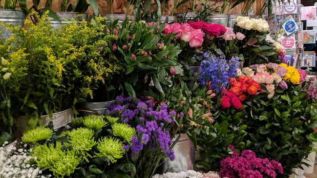 Reviews of Queen’s Park Flowers in London - Florist