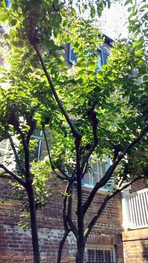 Museum «Davenport House Museum», reviews and photos, 324 E State St, Savannah, GA 31401, USA