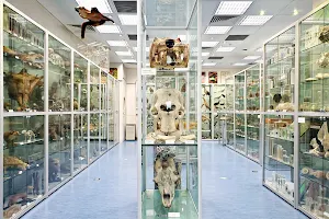 Hong Kong Biodiversity Museum image