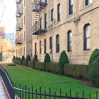 Barricella Bro's Landscaping - Photo 8 - Car repair in Brooklyn, NY, New York