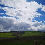 Photo n°1 de l'avis de daniele.a fait le 19/04/2019 à 22:27 sur le  Agriturismo Canapaccia à Montalcino