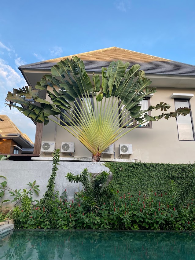 Newland Villa Jimbaran - Kuta Selatan