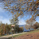 Photo n°22 de l'avis de Annamaria. fait le 03/11/2022 à 14:31 sur le  Alpe Camaggiore à Vendrogno