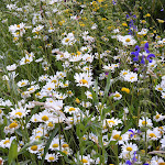 Photo n°8 de l'avis de Donato.a fait le 16/06/2019 à 18:59 sur le  Hotel Mair à Sand in Taufers