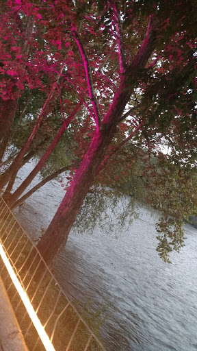 Restaurant «Salvage Station», reviews and photos, 468 Riverside Dr, Asheville, NC 28801, USA