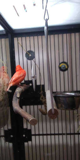 Pet Supply Store «PetSmart», reviews and photos, 248 Westminster Dr, Carlisle, PA 17013, USA