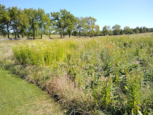 Historical Place «The Kernstown Battlefield», reviews and photos, 610 Battle Park Dr, Winchester, VA 22601, USA