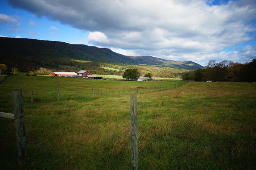 321 Spring Mountain Way, Fort Valley, VA 22652, USA