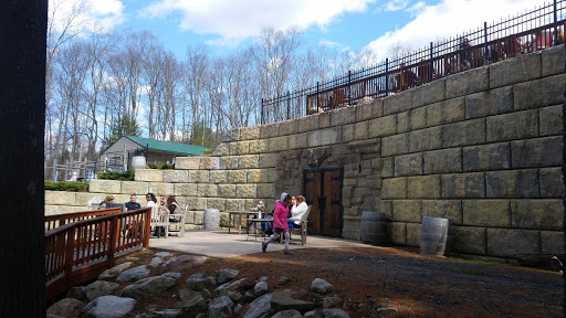 Winery «Bashakill Vineyards», reviews and photos, 1131 S Rd, Wurtsboro, NY 12790, USA