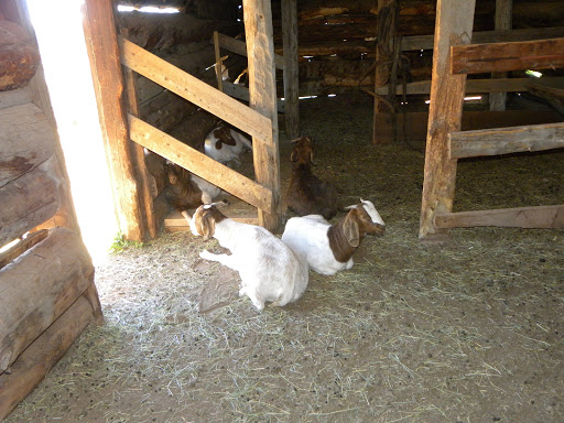 Non-Profit Organization «South Park Historical Foundation», reviews and photos