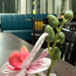 Photo n°10 de l'avis de Latif.u fait le 18/11/2023 à 19:18 sur le  Al-bik - Arabisches Restaurant in Stockach à Stockach