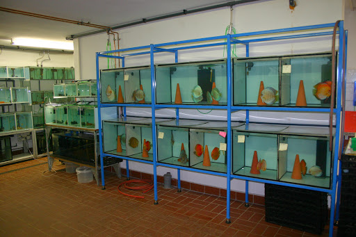 Fischfutterprofi.de unter Rechenberg-Bienenmühle, 