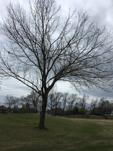 Golf Course «Firewheel Golf Park», reviews and photos, 600 W Campbell Rd, Garland, TX 75044, USA