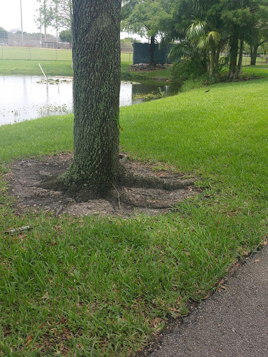 Park «Sunset Park», reviews and photos, 10600 Cleary Blvd, Plantation, FL 33324, USA