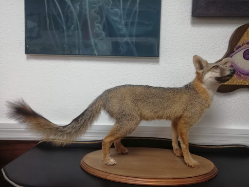 Tattoo Shop «Trinity Tattoo Co Inc», reviews and photos, 193 N US Highway 17-92, Longwood, FL 32750, USA