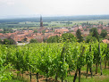 Les Gîtes du Relais des Vignes Kintzheim