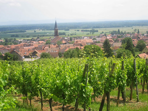 Les Gîtes du Relais des Vignes à Kintzheim