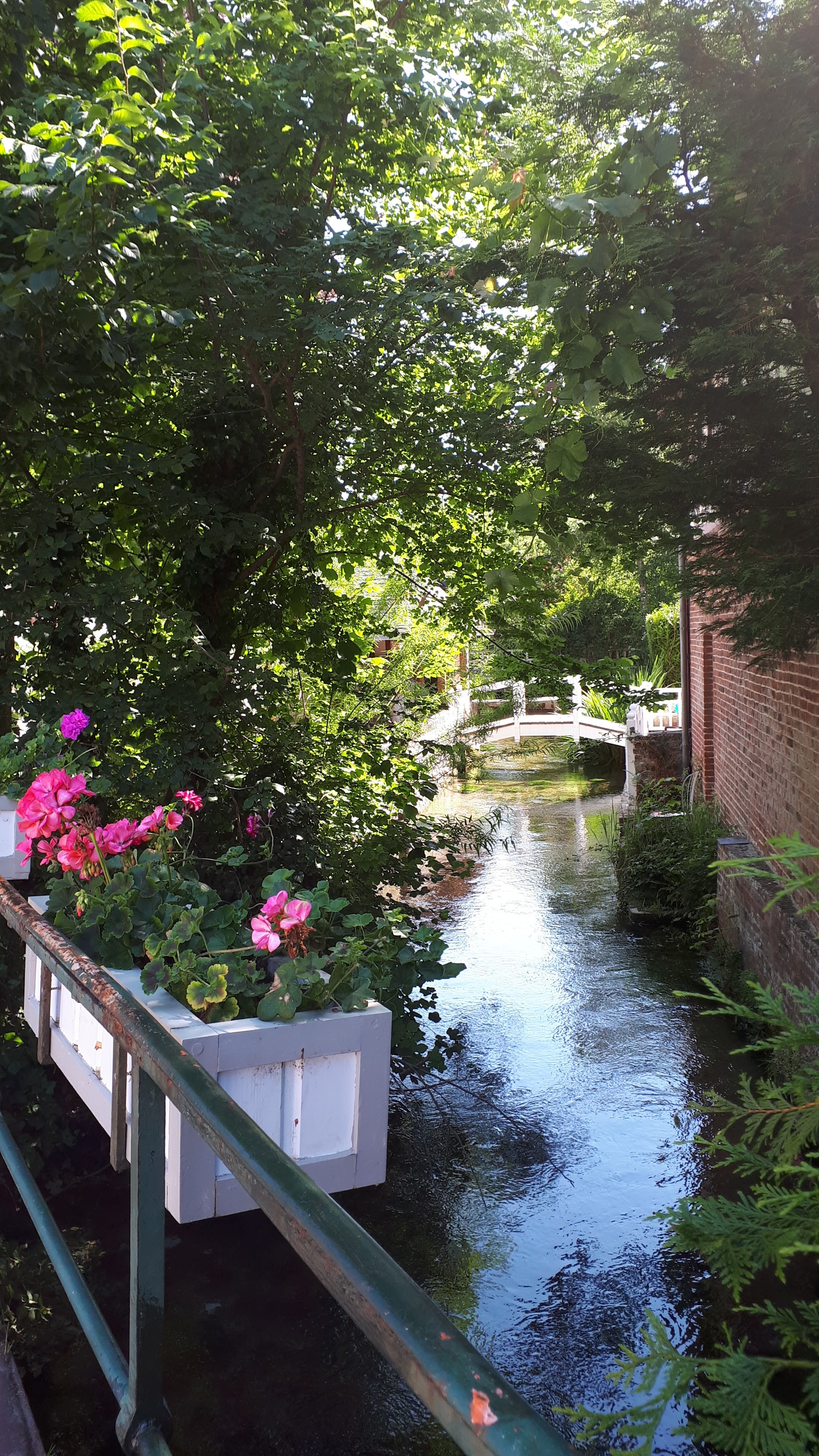 Photo n° 11 de l'avis de nathalie.a fait le 11/07/2019 à 16:53