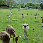 Photo n°3 de l'avis de Anne.e fait le 03/06/2023 à 05:06 sur le  Zur Grafschaft à Brauneberg