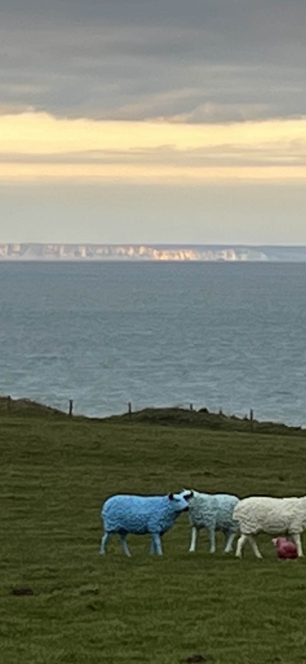 Photo n° 3 de l'avis de Valérie.r fait le 30/01/2023 à 07:11