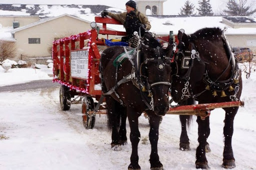 Winery «Casa Larga Vineyards», reviews and photos, 2287 Turk Hill Rd, Fairport, NY 14450, USA