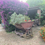 Photo n°1 de l'avis de Marco.o fait le 23/07/2021 à 14:02 sur le  Il Granaio dei Casabella à Capaccio Paestum