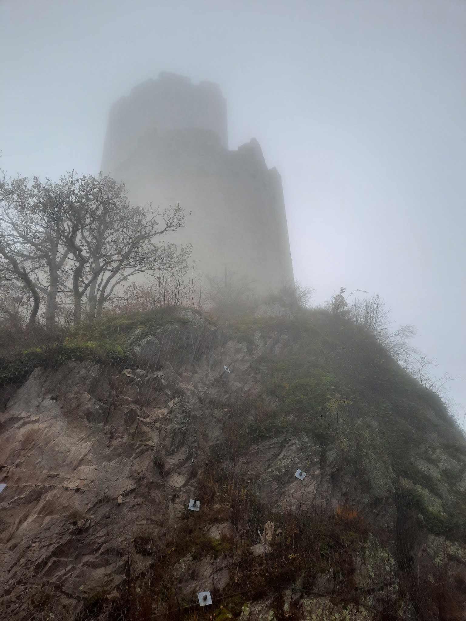 Photo n° 10 de l'avis de Cédric.O fait le 22/11/2021 à 14:49