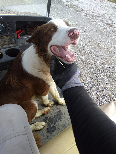 Plant Land Garden Center & Lakeside Brewing Supplies