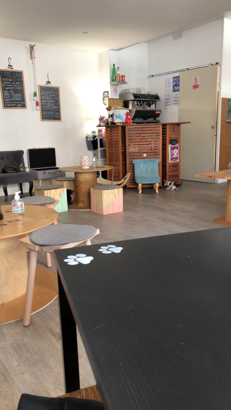 Photo n° 2 de l'avis de Lucie. fait le 30/08/2019 à 12:58
