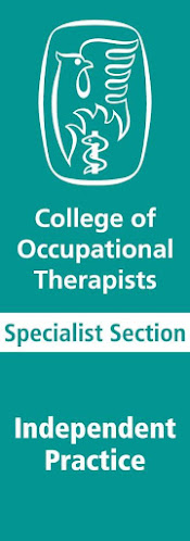 HEANEY OCCUPATIONAL THERAPIST - Physical therapist