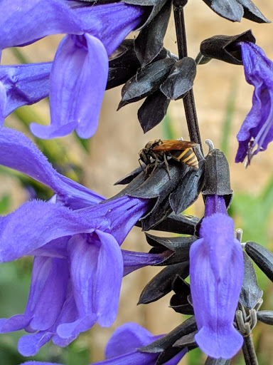 Art Museum «Briscoe Western Art Museum», reviews and photos, 210 W Market St, San Antonio, TX 78205, USA