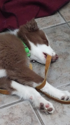 Harley-Davidson Dealer «Iron Nation Harley-Davidson», reviews and photos, 3433 S Broadway, Edmond, OK 73013, USA