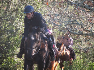 Photo n°12 de Centre équestre l'hippocampe à Berrias-et-Casteljau ()
