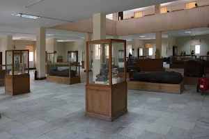 Beni Suef Museum image