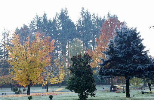 Funeral Home «Mills & Mills Funeral Home», reviews and photos, 5725 Littlerock Rd SW, Tumwater, WA 98512, USA