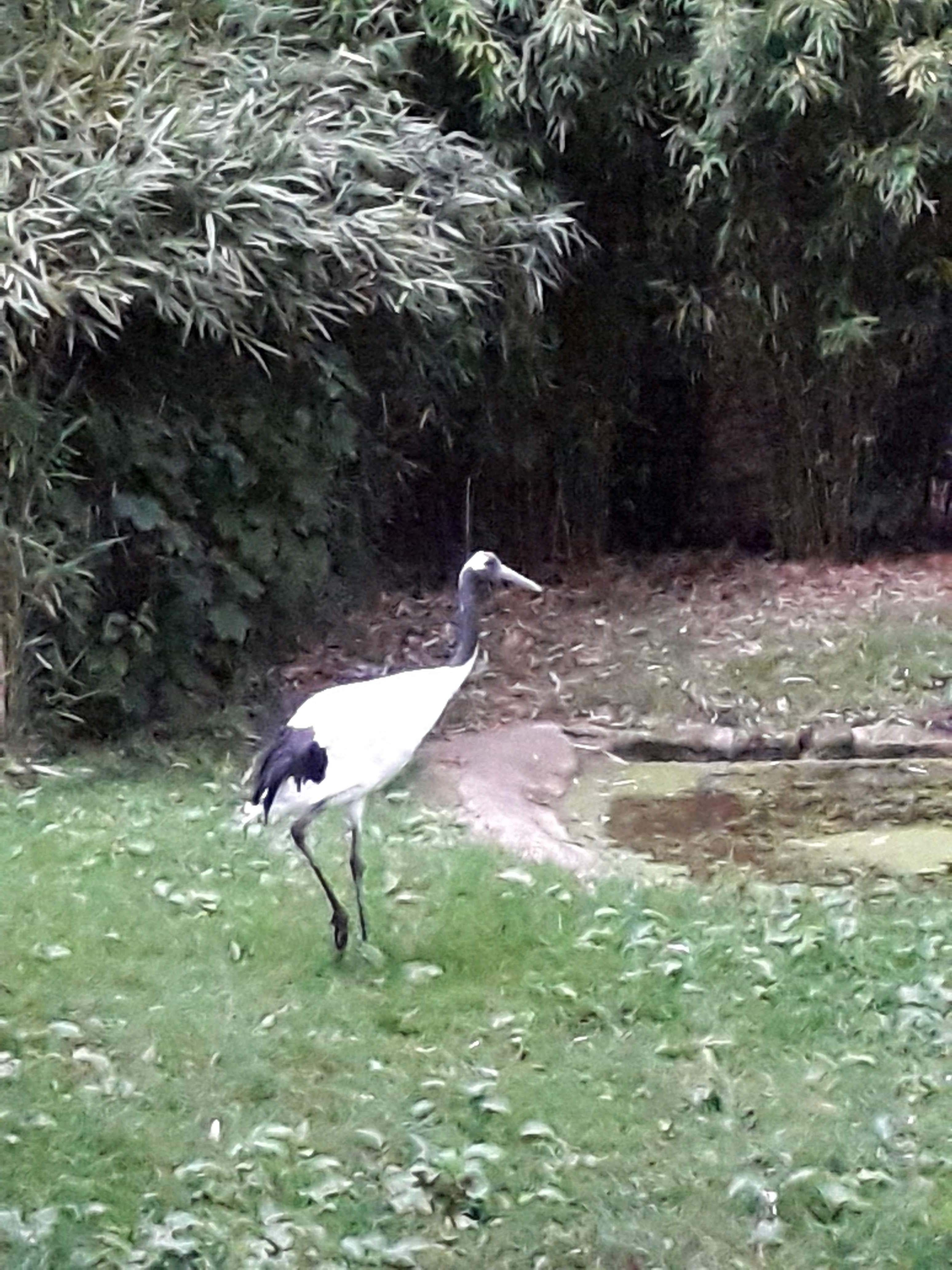 Photo n° 14 de l'avis de Le.o fait le 22/07/2022 à 15:09