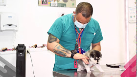 Pet Lover Centro Veterinario Carval