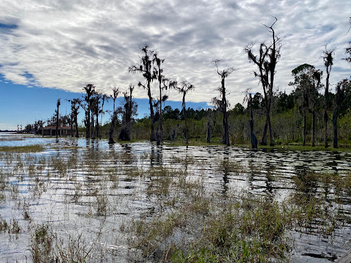 Keene’s Point Lake Tibet Boardwalk, FF5F+RF, Lake Butler, FL 34786