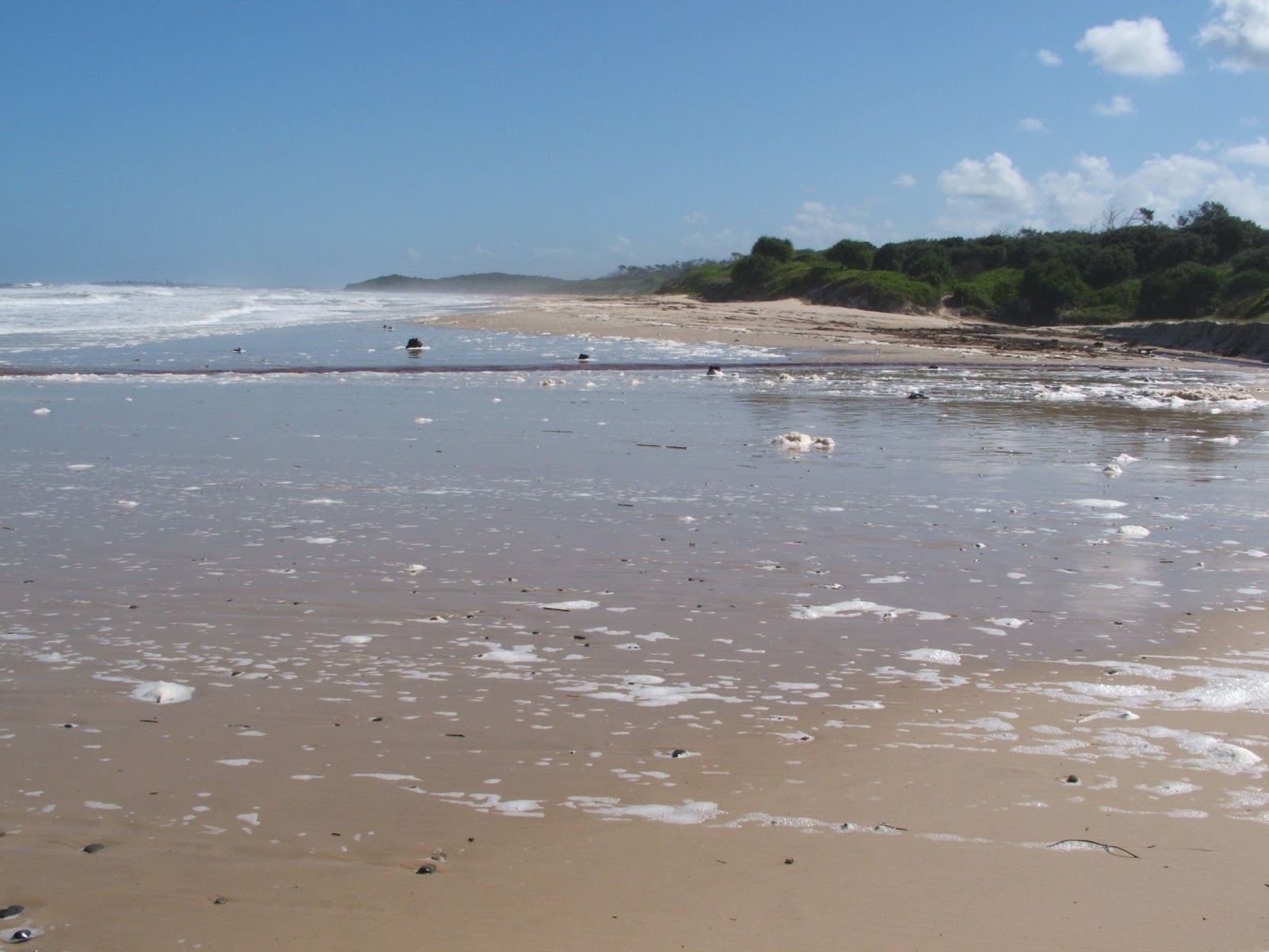 Foto av Shelley Beach med blå rent vatten yta